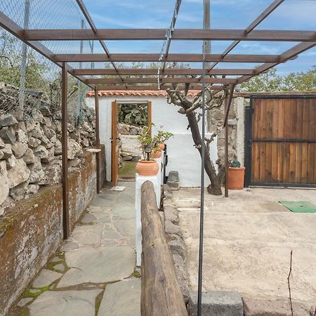 The Corner Of Dreams - Pool - Parking - Rural Βίλα Tenteniguada Εξωτερικό φωτογραφία